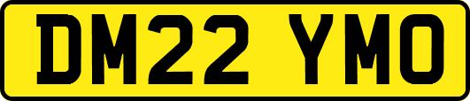 DM22YMO