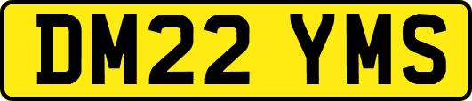 DM22YMS