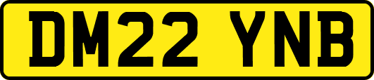 DM22YNB