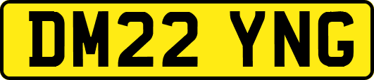 DM22YNG