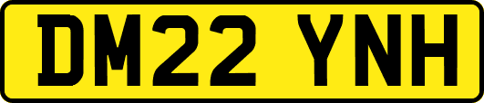 DM22YNH