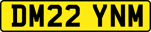 DM22YNM