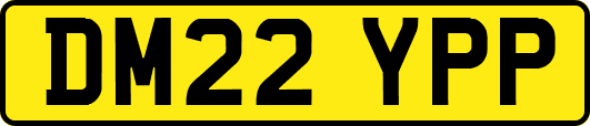 DM22YPP