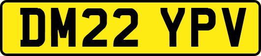 DM22YPV