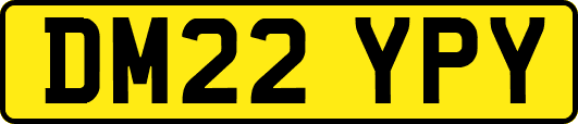DM22YPY