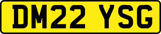 DM22YSG