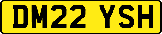 DM22YSH