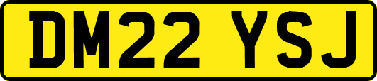 DM22YSJ