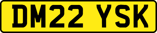 DM22YSK