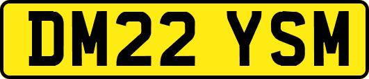 DM22YSM