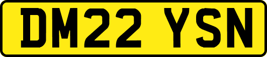 DM22YSN