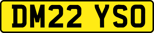 DM22YSO