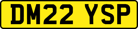 DM22YSP