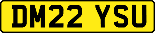 DM22YSU