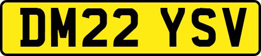 DM22YSV
