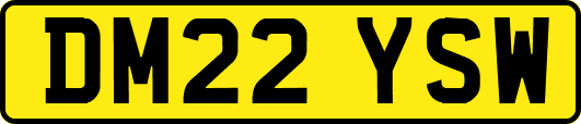 DM22YSW