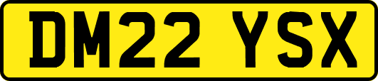 DM22YSX