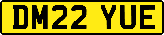DM22YUE