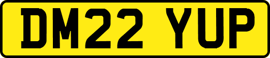 DM22YUP