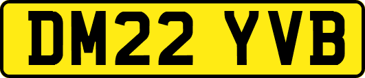 DM22YVB