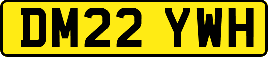 DM22YWH