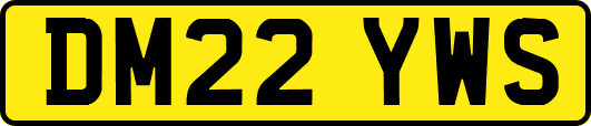 DM22YWS