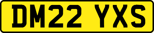 DM22YXS
