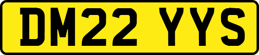 DM22YYS