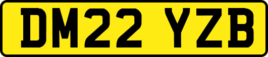 DM22YZB