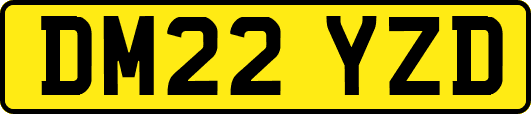 DM22YZD