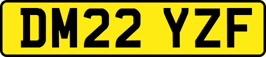 DM22YZF