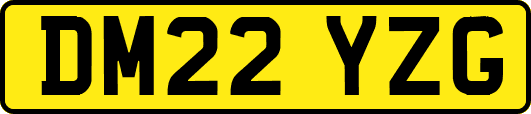 DM22YZG