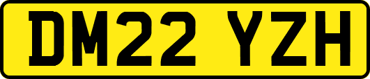DM22YZH