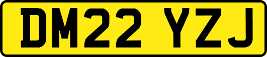 DM22YZJ