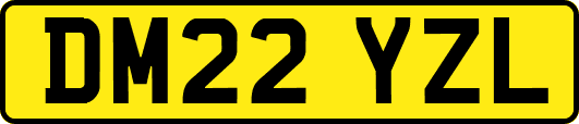 DM22YZL
