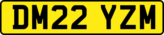 DM22YZM