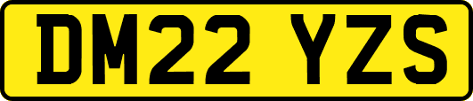 DM22YZS