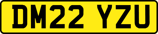 DM22YZU