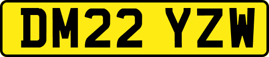DM22YZW