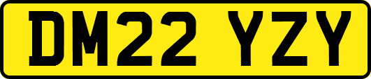 DM22YZY