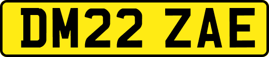 DM22ZAE