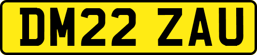 DM22ZAU