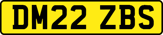 DM22ZBS