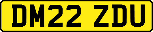 DM22ZDU