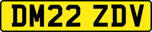 DM22ZDV