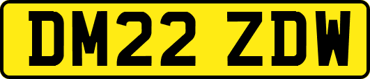 DM22ZDW