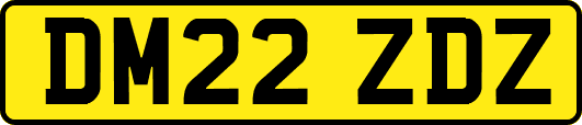 DM22ZDZ