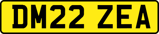 DM22ZEA