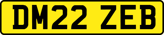 DM22ZEB