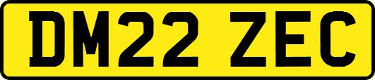 DM22ZEC